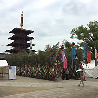 越前手漉き襖紙・本鳥の子　in 四天王寺・客殿
