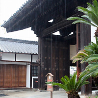 越前手漉き襖紙・本鳥の子　in 四天王寺・客殿