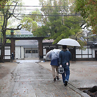 越前手漉き襖紙・本鳥の子　in 四天王寺・客殿